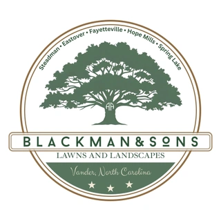 BLACKMAN & SONS LAWNS AND LANDSCAPES LLC logo