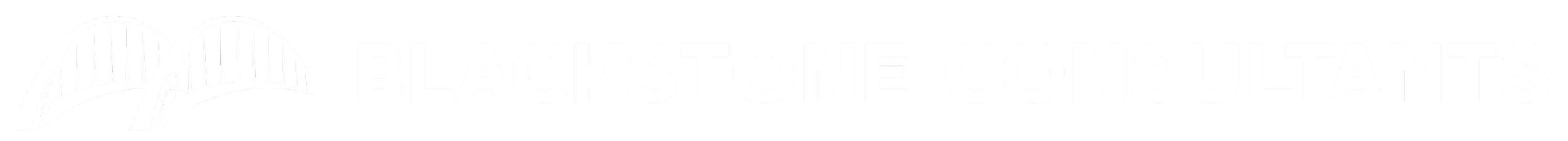 BLACKSTONE CONSULTANTS LLC logo