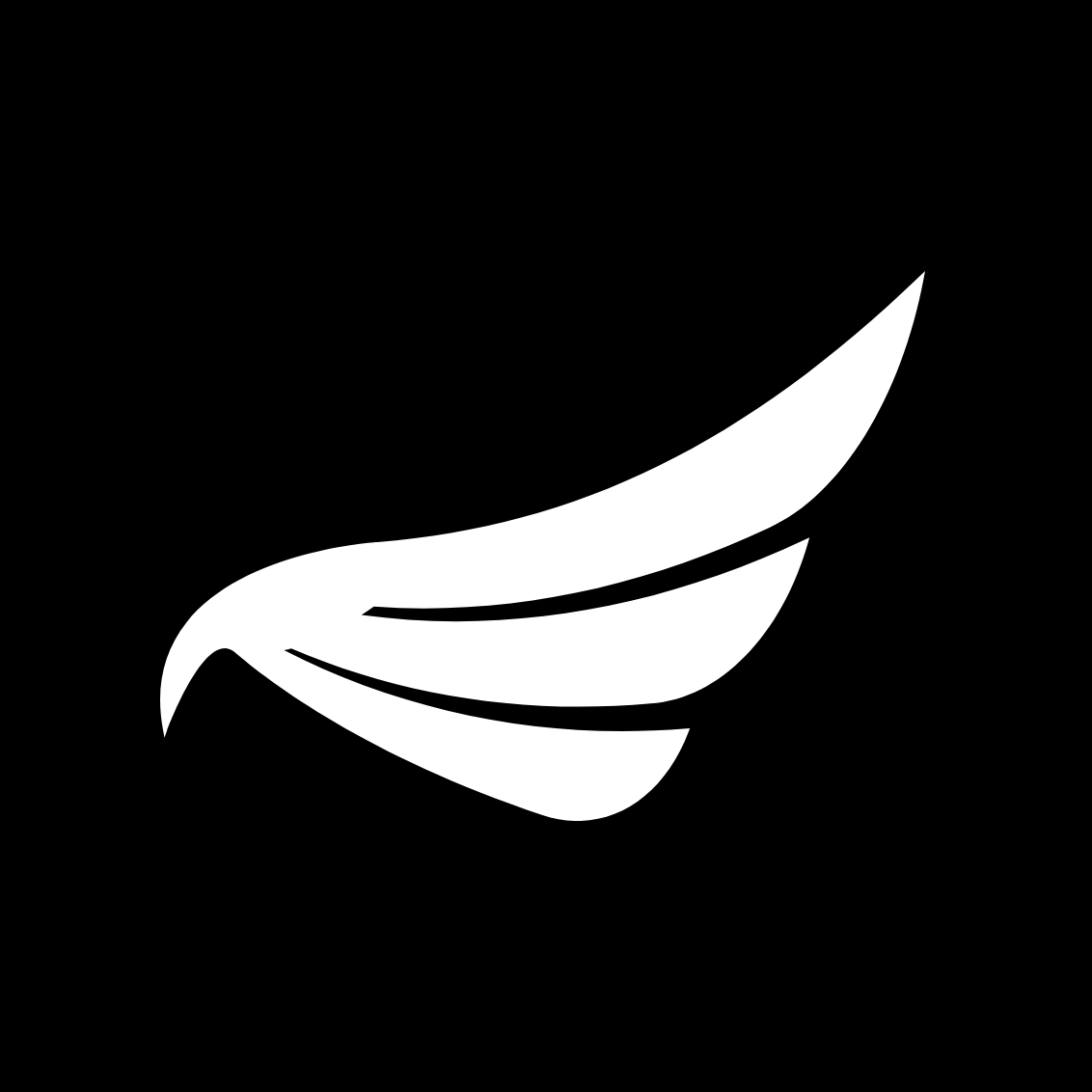 BLACKWING SPACE, INC. logo
