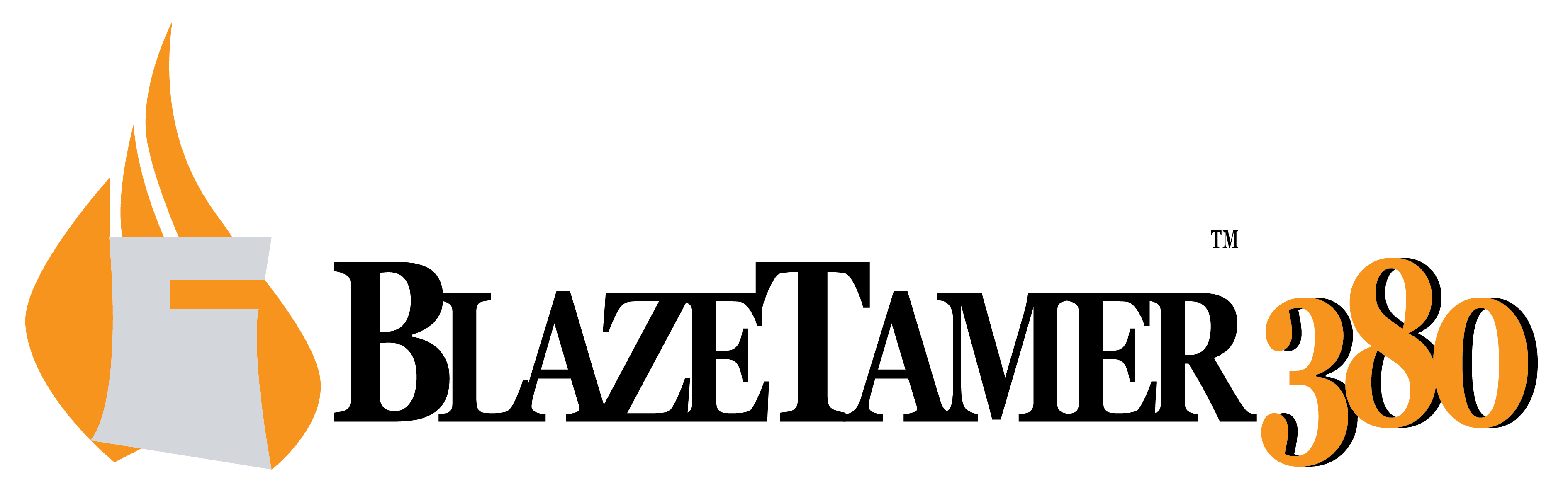 BLAZETAMER USA LLC logo