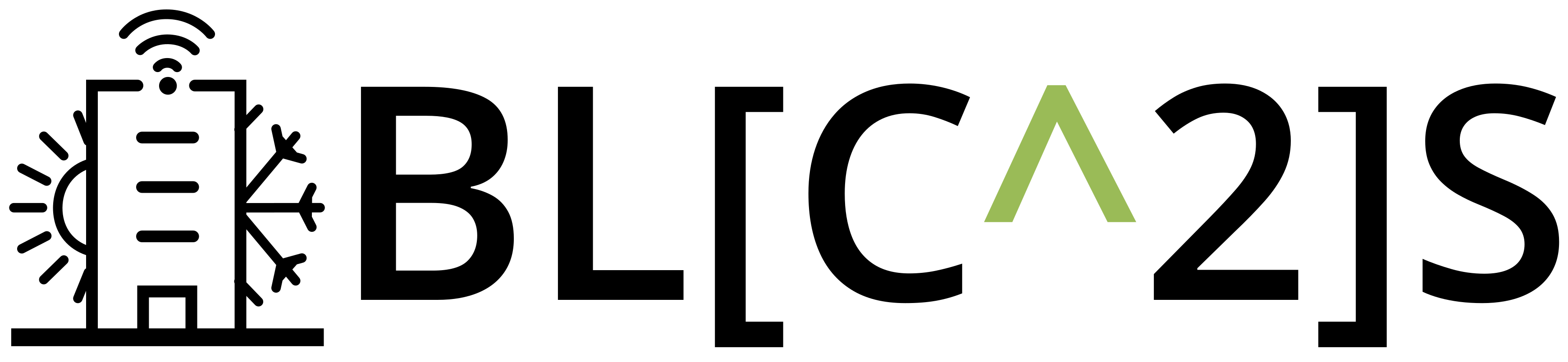 BLCCS LLC logo