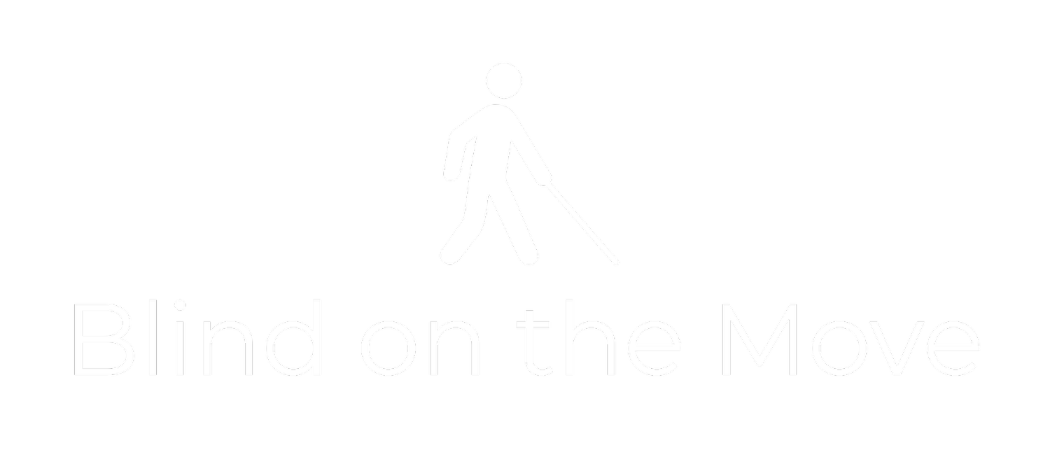 BLIND ON THE MOVE LLC logo