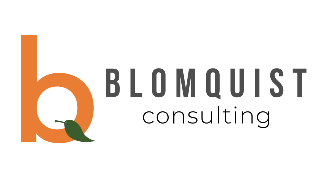 BLOMQUIST CONSULTING LLC logo