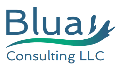 BLUA CONSULTING LLC logo