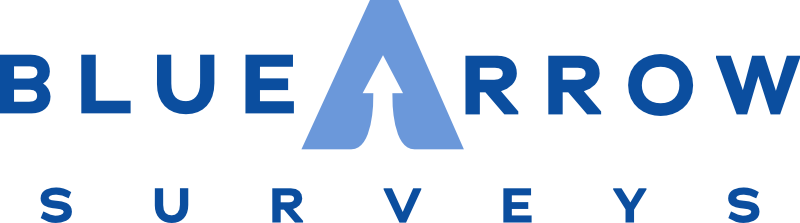 BLUE ARROW SURVEYS, LLC logo