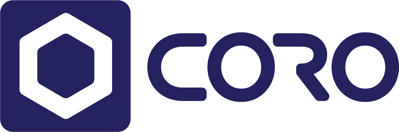 BLUE CAP IT LLC logo