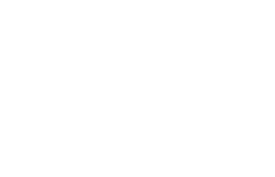 BLUE DOLPHIN SCREENPRINT, INC. logo