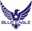 BLUE EAGLE SECURITY & PROTECTION, LLC logo
