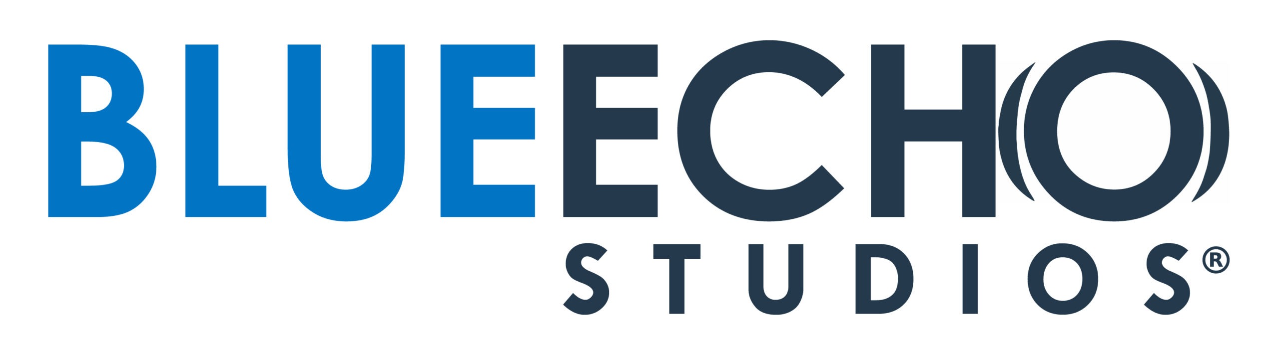 BLUE ECHO STUDIOS, LLC logo