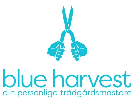 BLUE HARVEST AB logo