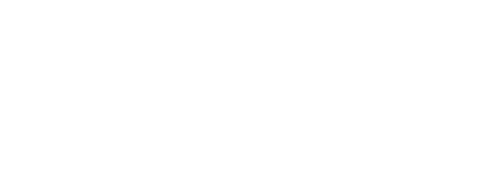 BLUE LIGHT JUNCTION LLC logo