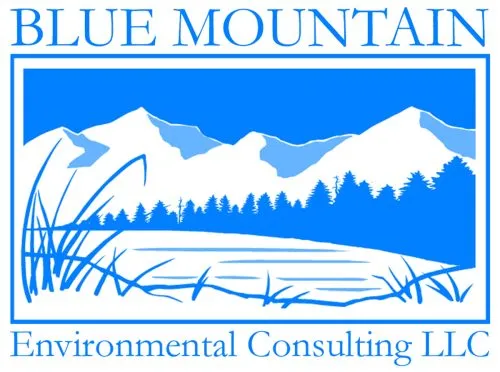 BLUE MOUNTAIN ENVIRONMENTAL CONSULTING LLC logo