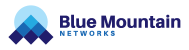 BLUE MOUNTAIN NETWORKS LLC logo