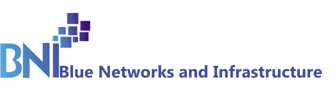 BLUE NETWORKS AND INFRASTRUCTURE (PTY) LTD logo