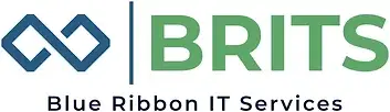 BLUE RIBBON IT SERVICES LLC logo