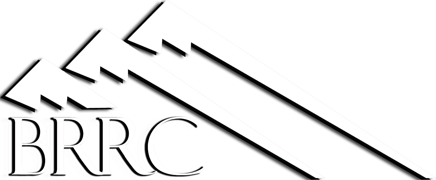 BLUE RIDGE RESEARCH AND CONSULTING LLC logo