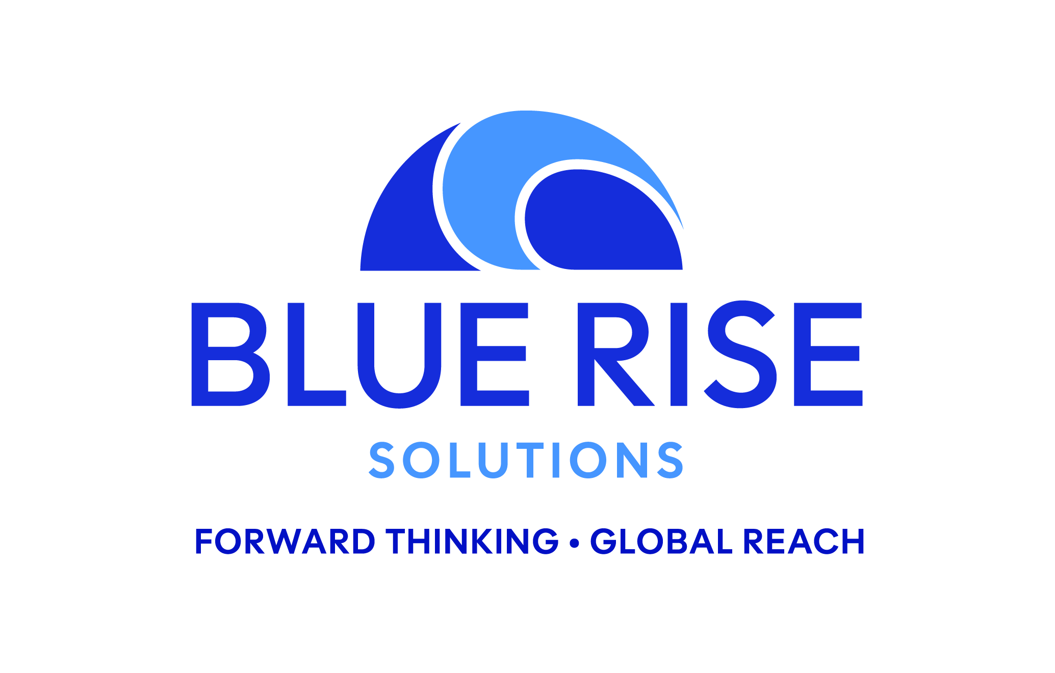 BLUE RISE SOLUTIONS LLC logo