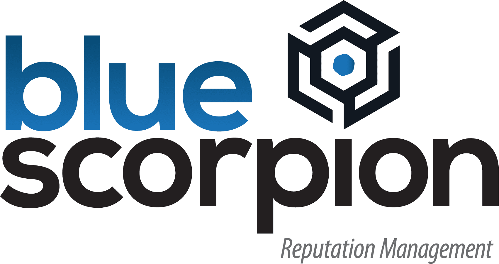 BLUE SCORPION REPUTATION MANAGEMENT logo
