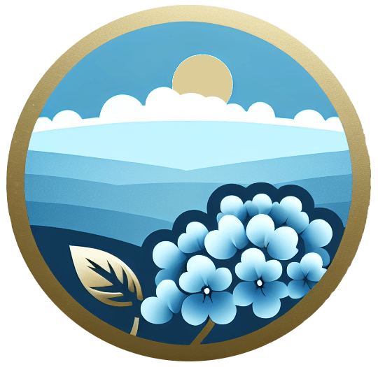 BLUE SKY SOLUTIONS GROUP LLC logo