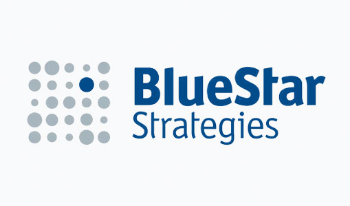 BLUE STAR STRATEGIES, LLC logo