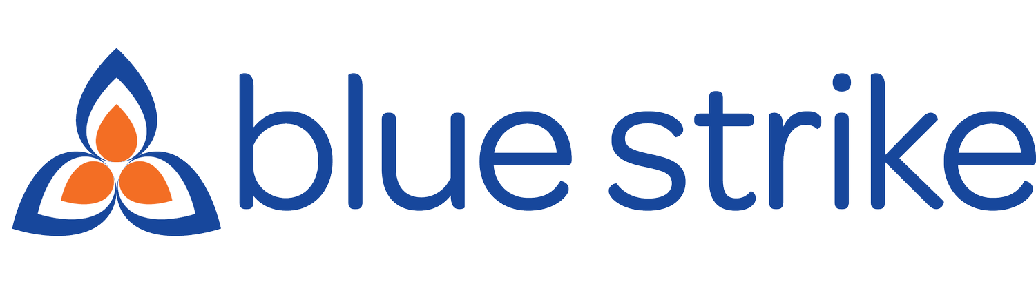 BLUE STRIKE ENVIRONMENTAL INC logo