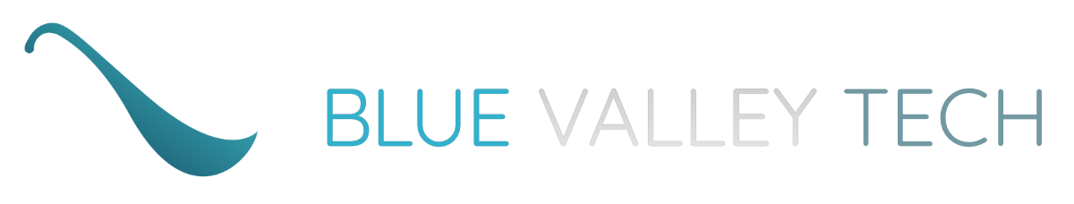BLUE VALLEY TECHNOLOGIES LLC logo