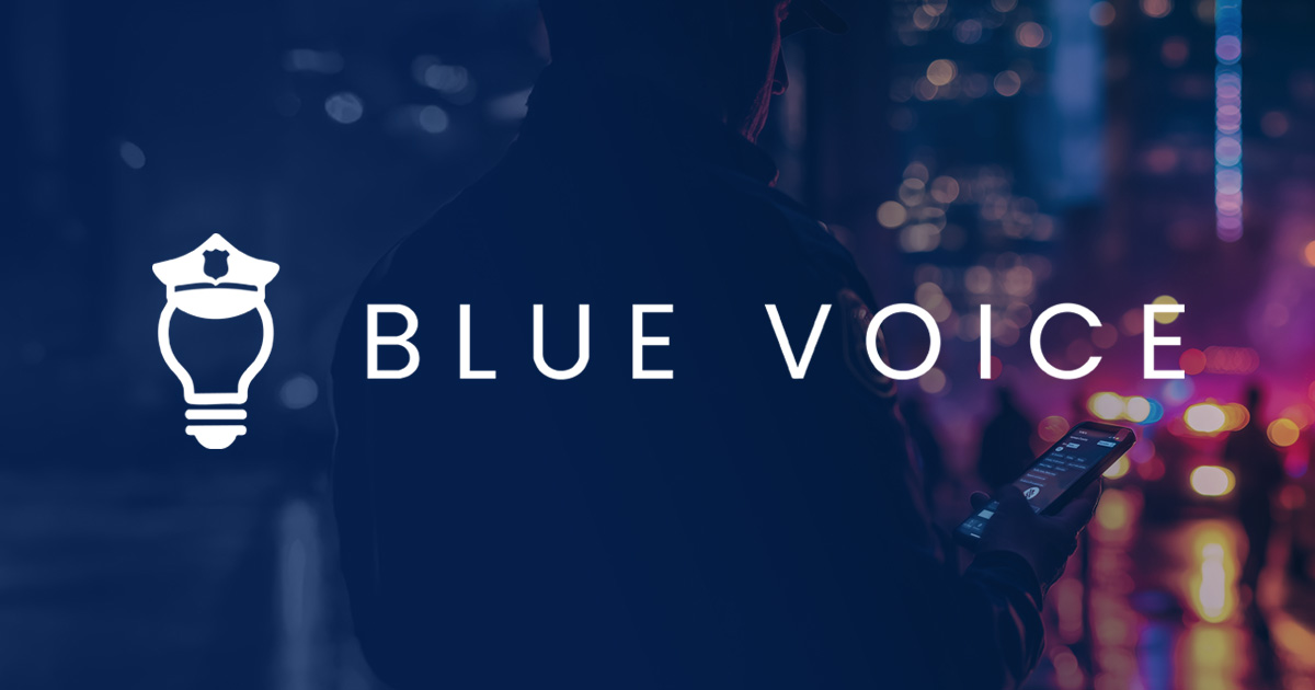 BLUE VOICE INC logo