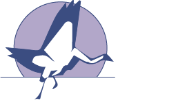 BLUECRANE INC logo