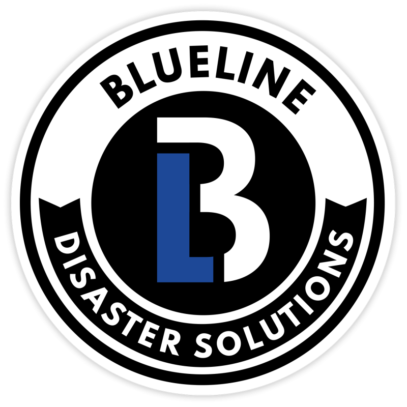 BLUELINE DISASTER SOLUTIONS INC logo