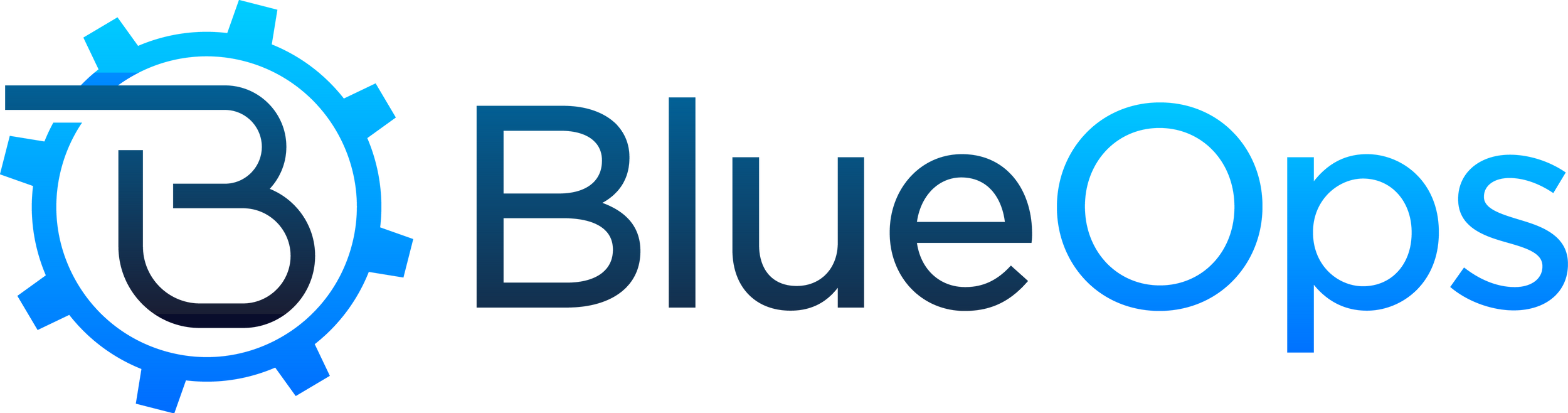 BLUEOPS INC logo