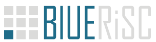 BLUERISC INC logo