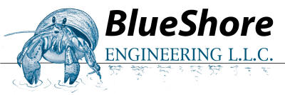 BLUESHORE ENGINEERING LLC logo