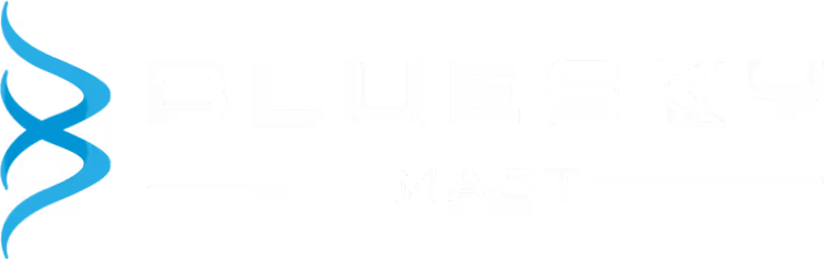 BLUESKY INNOVATIONS HOLDINGS, INC. logo