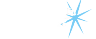 BLUESTAR TECHNOLOGIES INC logo
