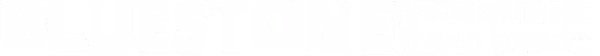 BLUESTONE PROCESS DYNAMICS logo