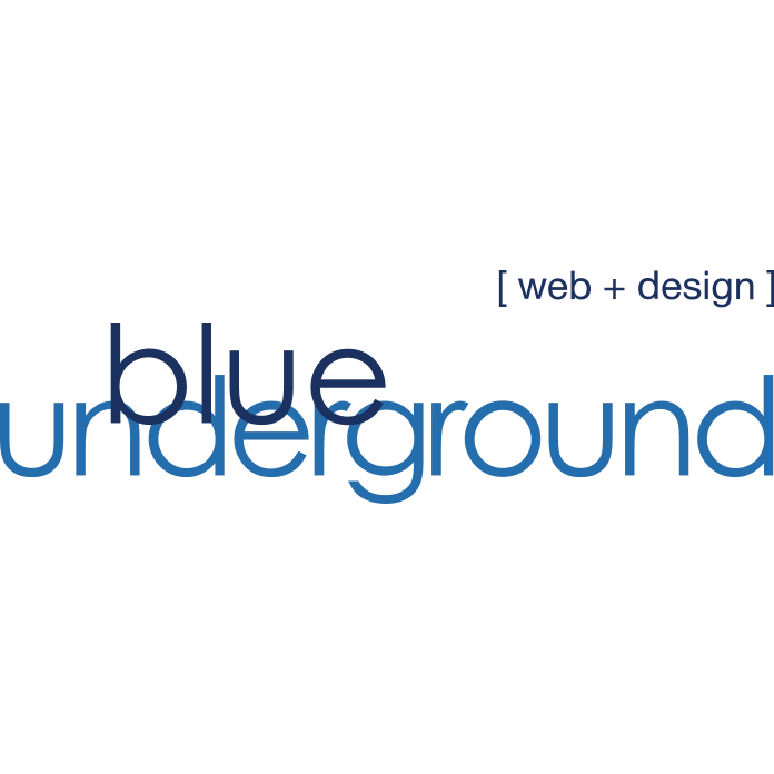 BLUEUNDERGROUND LLC logo