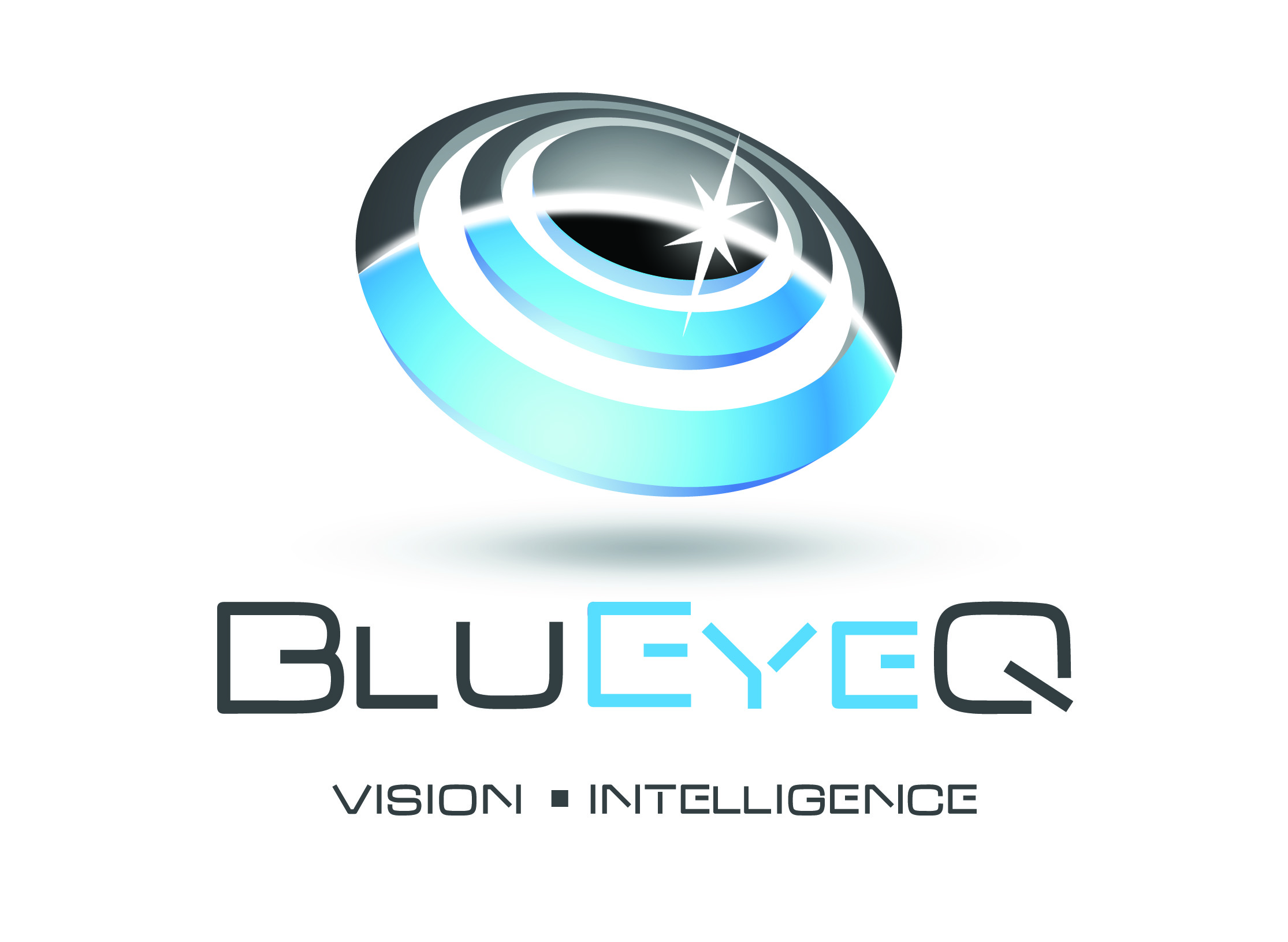 BLUEYEQ LLC logo