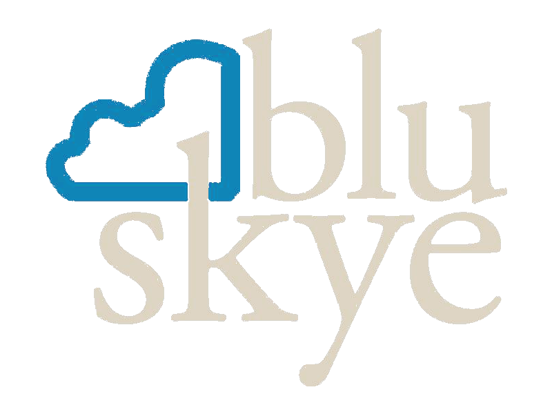 BLUSKYE VENTURES INC logo