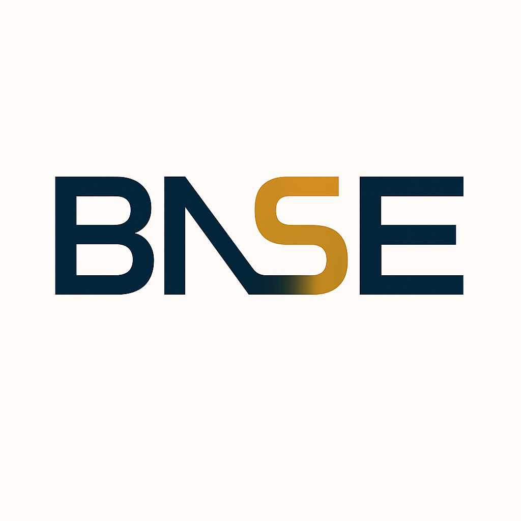 BNSE INNOVATIVE SOLUTIONS LLC logo