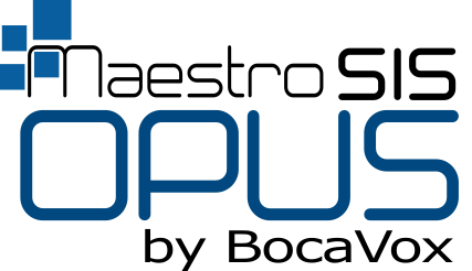 BOCAVOX LLC logo