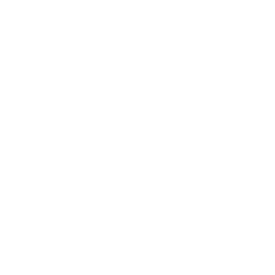 BOOKKEEPING TOOLES AND VIRTUAL ASSISTANCE SERVICES INC logo