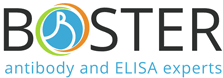 BOSTER BIOLOGICAL TECHNOLOGY logo