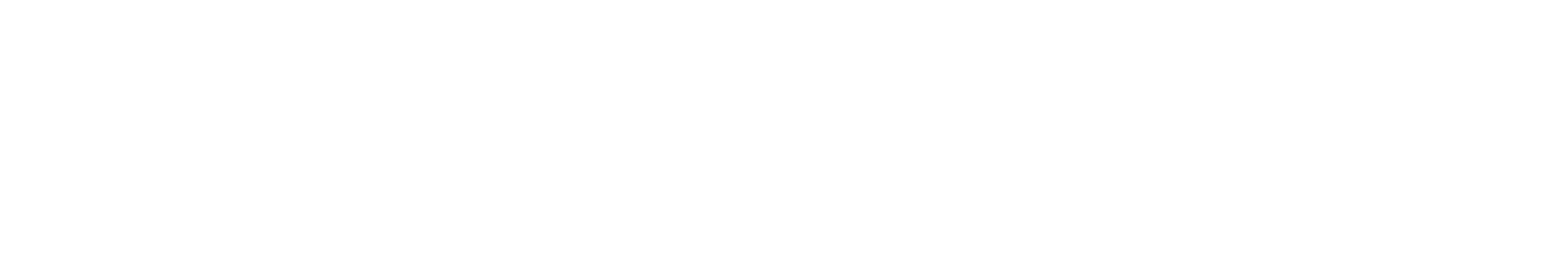 BOXO USA logo