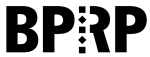 BPRP CONSULTING LLC logo