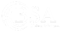 BRADLEY STINSON & ASSOCIATES, INC logo