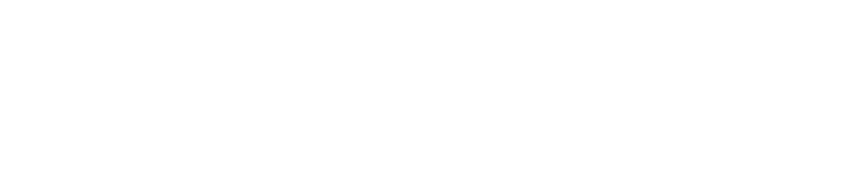 BRAINSIM TECHNOLOGIES INC logo