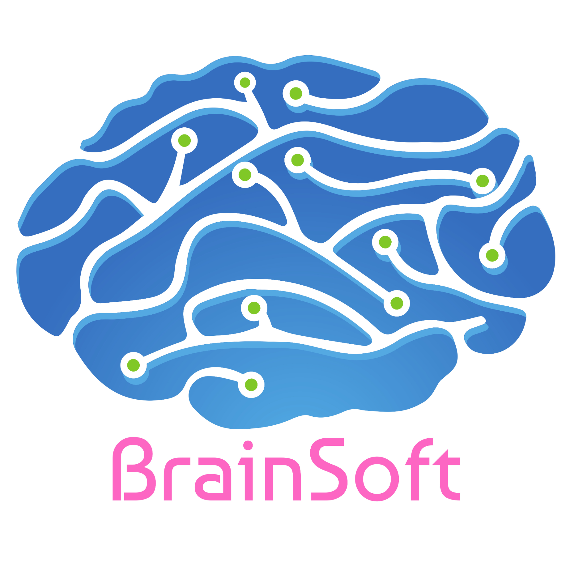 BRAINSOFT, LLC logo