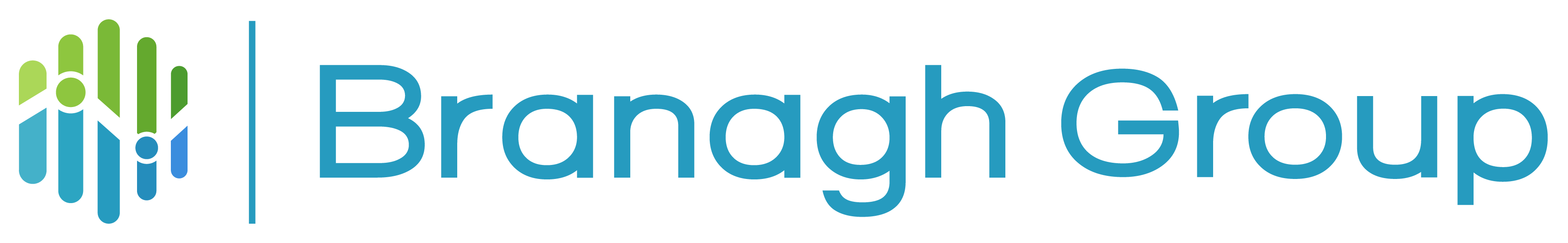BRANAGH GROUP logo
