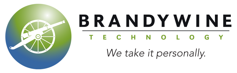 BRANDYWINE TECHNOLOGY logo