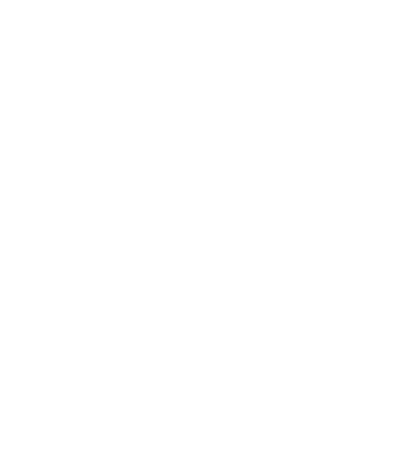 BRAUND STEPHEN R & ASSOCIATES logo